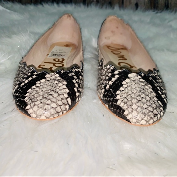 Sam Edelman “Augusta” Snakeprint Ballet Flats - Picture 5 of 7